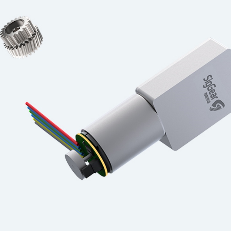 SG-1300 Spur Gear Motor