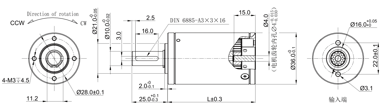 36MMDETAIL