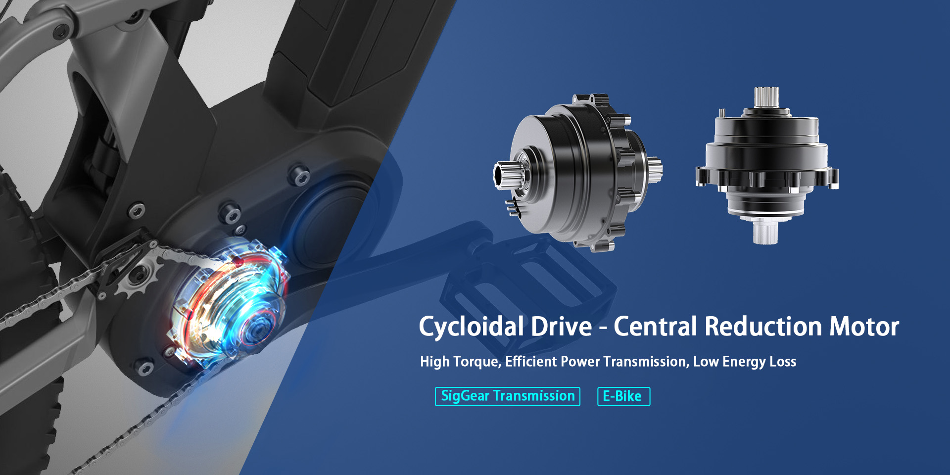 Cycloidal Drive-Central Reduction Motor