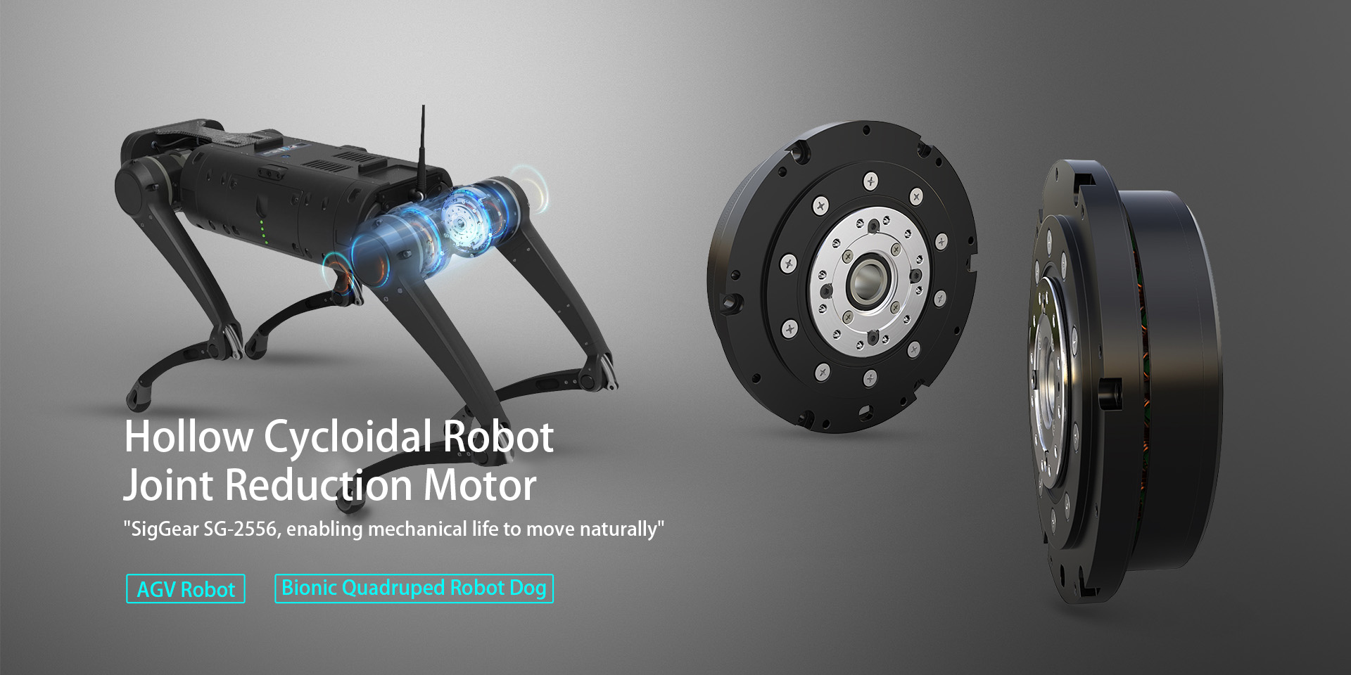 Hollow Cycloidal Robot Joint Reduction Motor